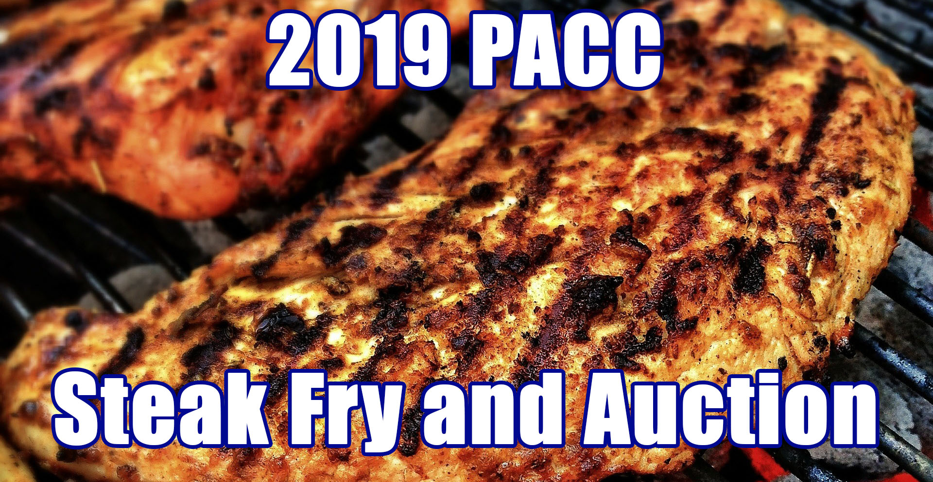 2019 Steak Fry and Auction